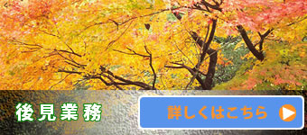 後見・財産管理業務